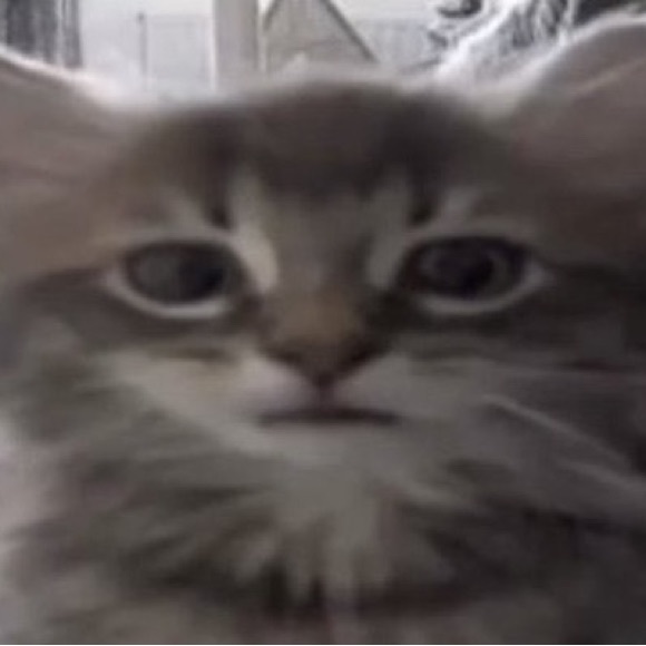 Meet your Posher, Alex - Picture 1 of 1